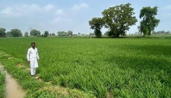 Abohar