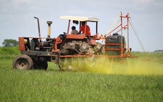 Agro-Processing