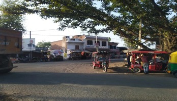 Atrauli