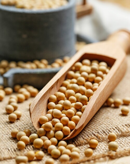 Financing Agriculture and Rural Enterprises in Madhya Pradesh